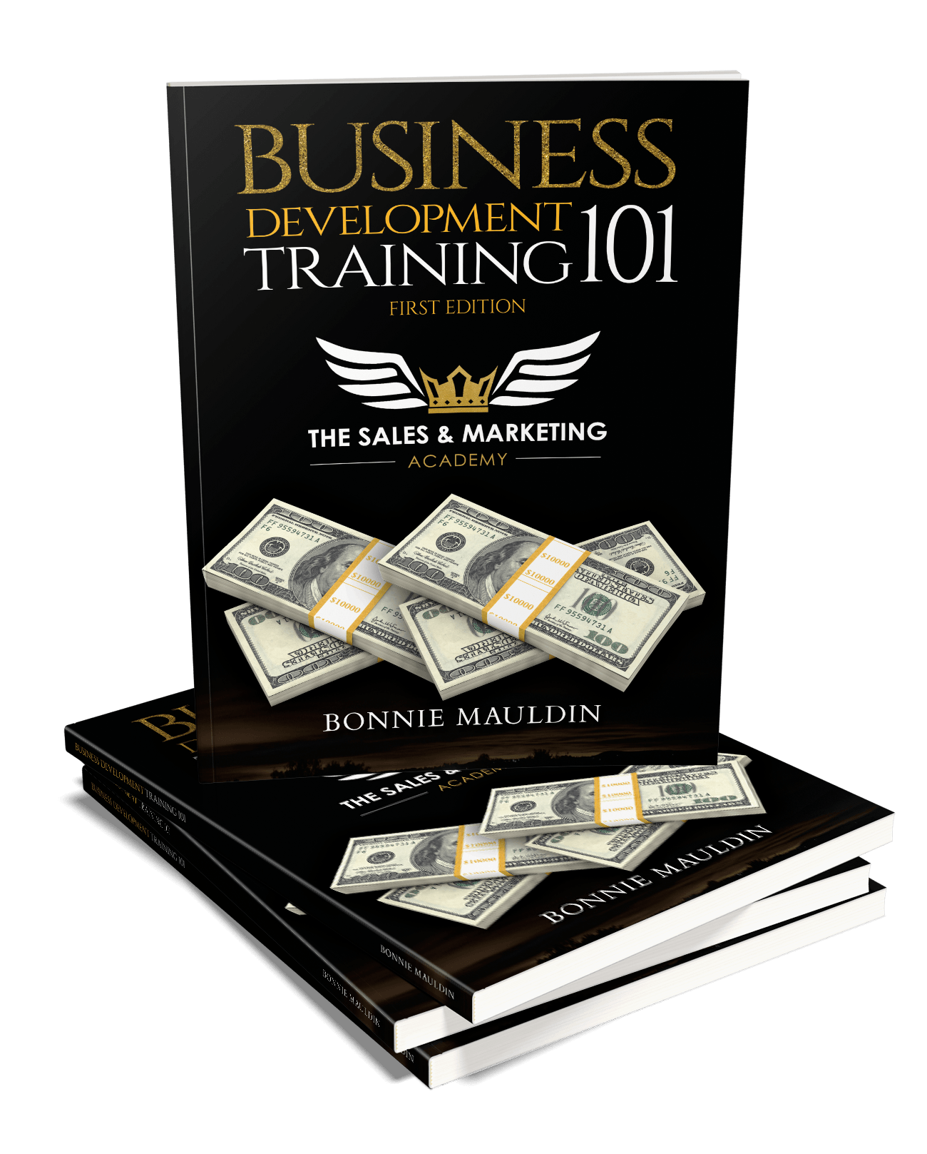 business-development-training-101-book-cover-3d-lanier-technical-college